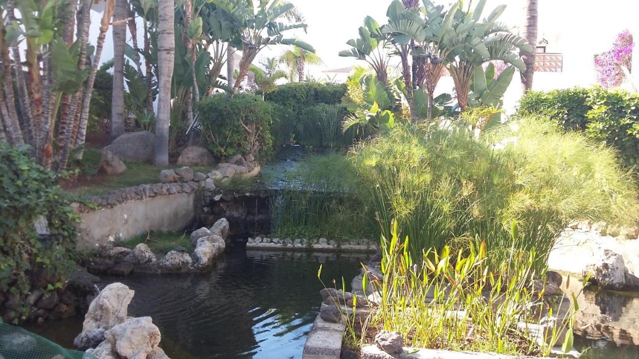 דירות סן מיגל דה אבונה Fairways Club, Duplex B22 מראה חיצוני תמונה